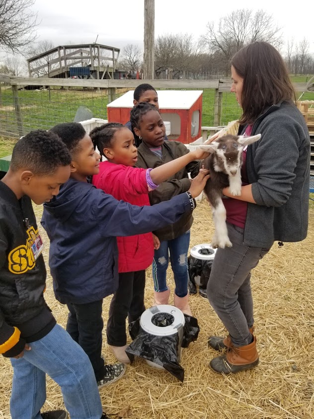 jenny with goats